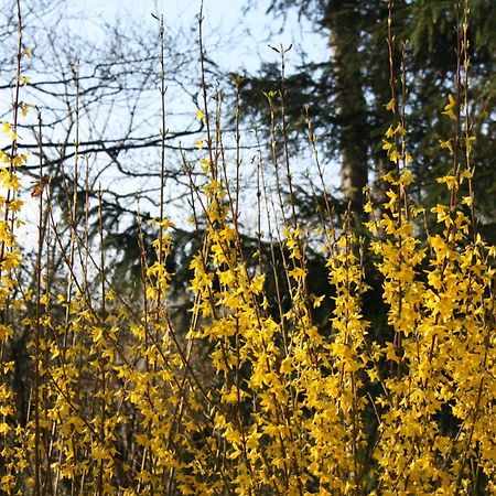 Appartamento Zantnhof Rohrabrunn Esterno foto