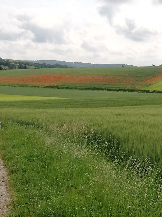 Appartamento Zantnhof Rohrabrunn Esterno foto